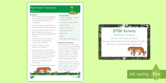 Rainforest Terrarium Steam Activity And Prompt Card Pack