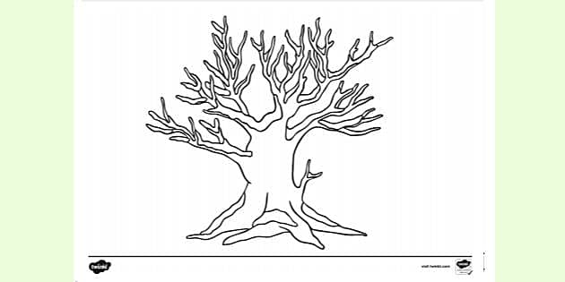 14+ Drawings Of Bare Trees