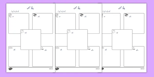ba nh hs kon kon sy y worksheet