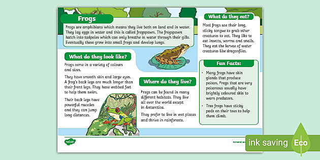 Frogs Fact File - KS1 - Amphibians (teacher made) - Twinkl