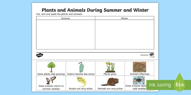 Sort the animals according to how they adapt to winter. worksheet