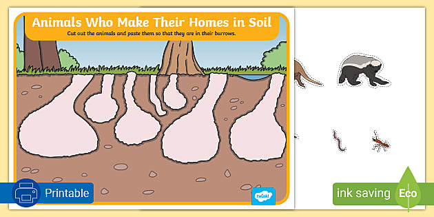 Animals Who Make Homes in Soil | Cut and Stick Activity