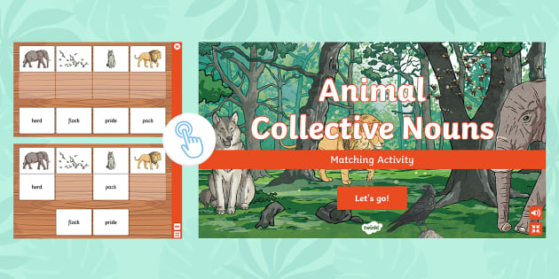 Animal Collective Nouns Interactive Matching Activity Animal Collective Nouns Interactive Matching Activity