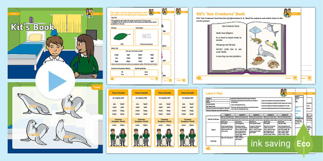 'ea' saying /ee/ Lesson Pack (teacher made) - Twinkl