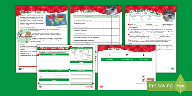 Funny Christmas Reindeer Coordinate Worksheets 6473