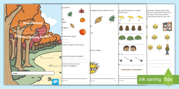 Level 1 Autumn Literacy Activity Booklet (teacher made)