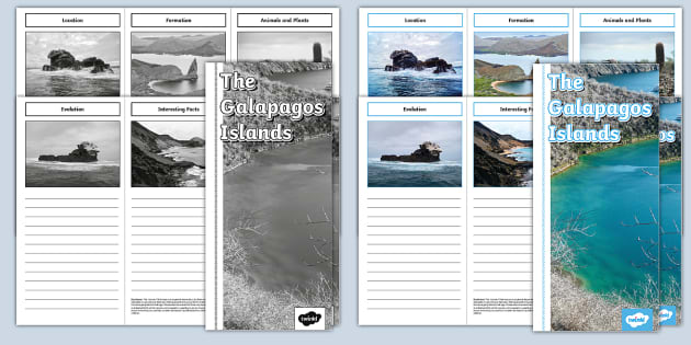 The Galapagos Islands Leaflet Template (teacher made)