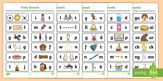 final sounds illustrated worksheets teacher made