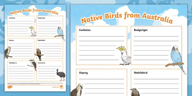 Native Australian Birds Fact File Template (teacher made)