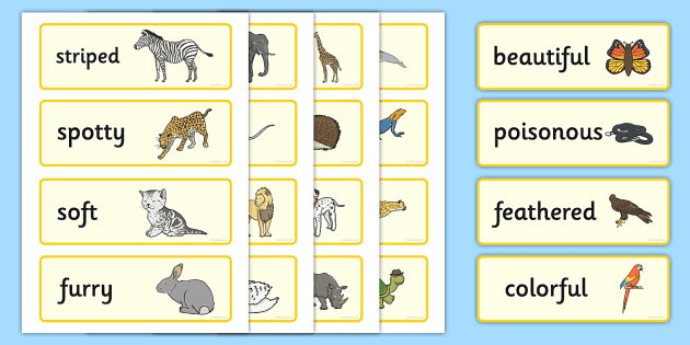 Animal Adjectives Word Cards - Animal Adjectives Word Cards