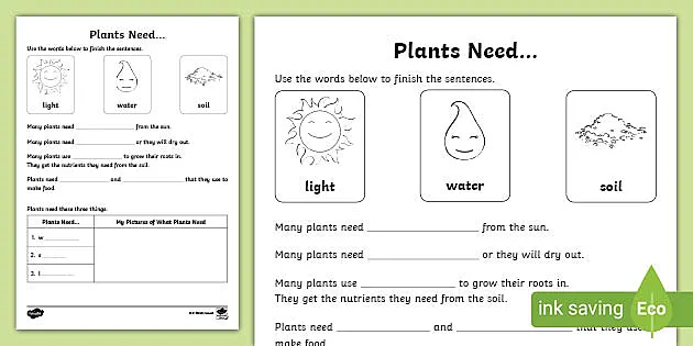 Plants Worksheet | Primary Resources | Twinkl (Teacher-Made)