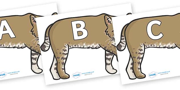 A-Z Alphabet on Bobcats (Teacher-Made) - Twinkl