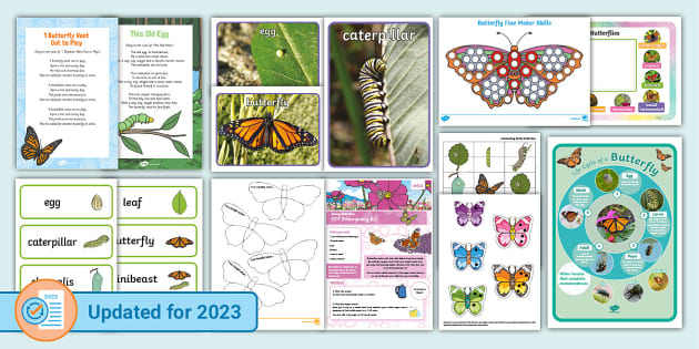 Childminder Butterfly Life Cycle Resource Pack - Twinkl