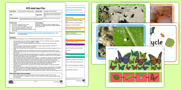 Eyfs Caterpillar Life Cycle Dance Adult Input Plan And Resource Pack