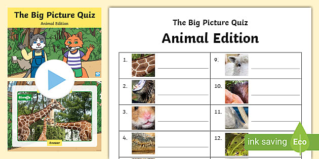 Animal Quiz Questions | Teacher-Made Resources - Twinkl