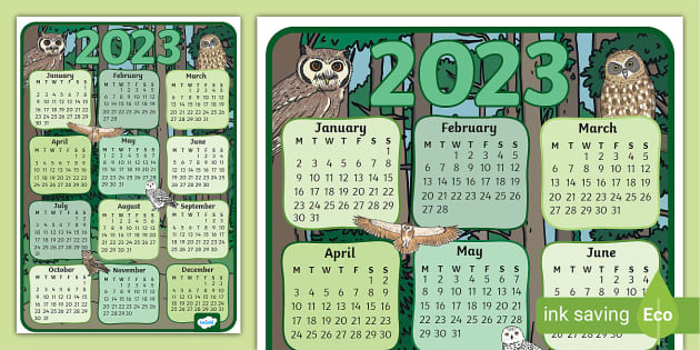 FREE! - Owl Themed 2023 Wall Calendar (teacher made)