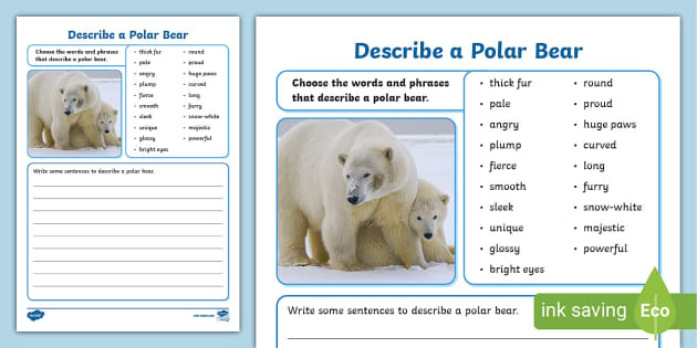 describe-a-polar-bear-worksheet-polar-bear-twinkl