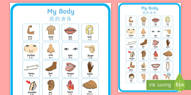 My Body Vocabulary Poster English/Mandarin Chinese - My ...