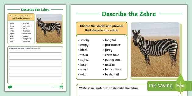 Describe the Zebra Writing Worksheet,zebra,zebras - Twinkl