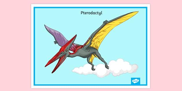 FREE! - Pterodactyl Poster | Display | Primary Resources