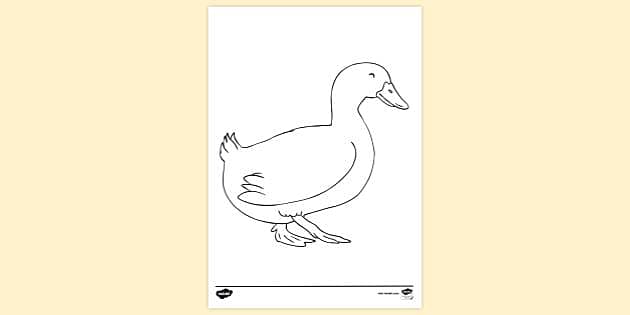 Easy How to Draw a Duck Tutorial and Duck Coloring Page | Kids art  projects, Drawing for kids, Easy art projects