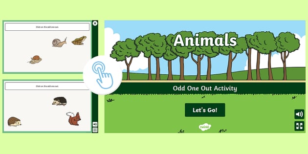 Animals Odd One Out Activity (Hecho por educadores) - Twinkl