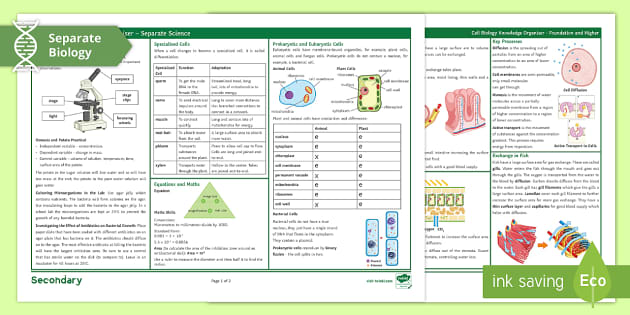 Cell Biology Knowledge Organiser | AQA Biology | Beyond