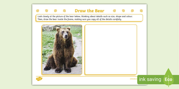 Draw the Bear Art Activity, How to draw a bear - Twinkl