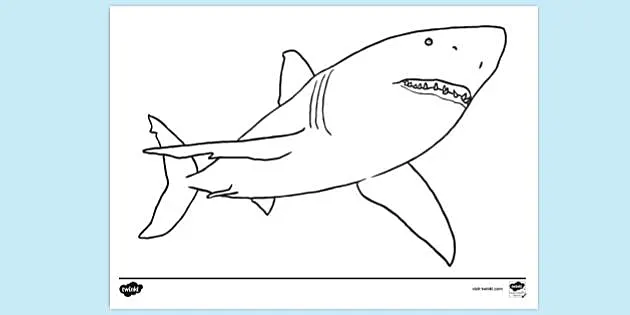 Bạn có dám thử tô màu cho con cá mập đáng sợ này không? Đây là thử thách rất thú vị đấy!