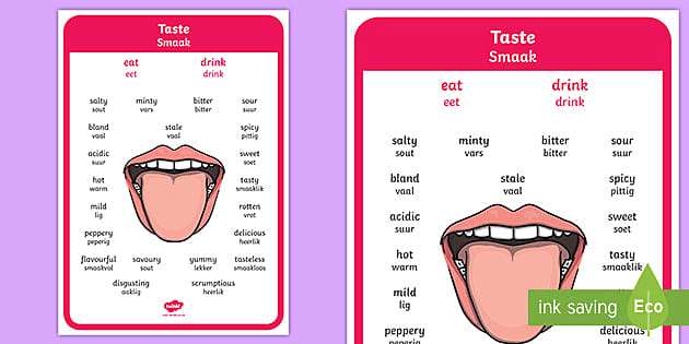 Taste Vocabulary Words In Hindi