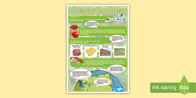 ecological footprint poster