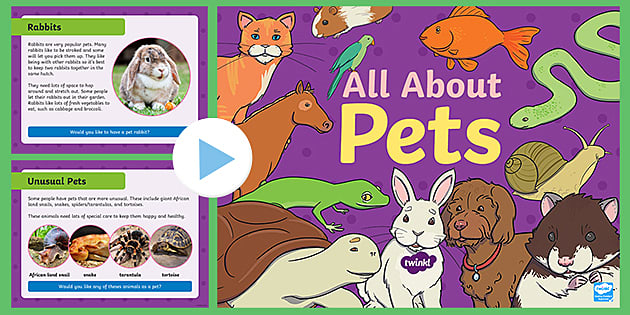 Formidable Sid: All About Pets Information PowerPoint