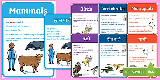Hot Blooded Animal Groups Display Posters (English / Hindi)