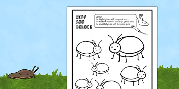 Ladybird Read and Color Worksheet (Teacher-Made) - Twinkl