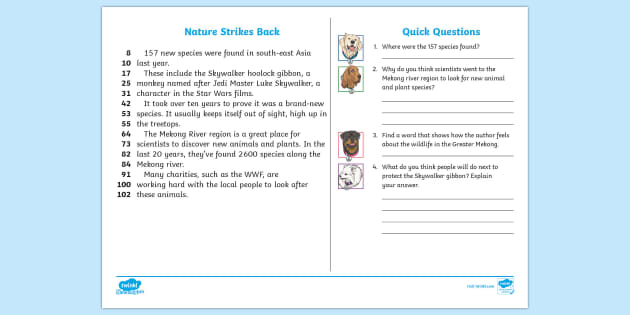 LKS2 New Species Discovered Daily News 60-Second Read Activity Cards