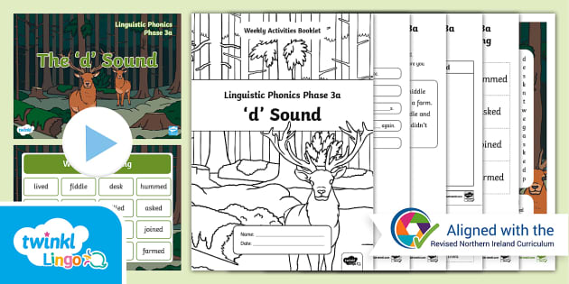 Phase 3a 'd' Sound Linguistic Phonics Activities Pack