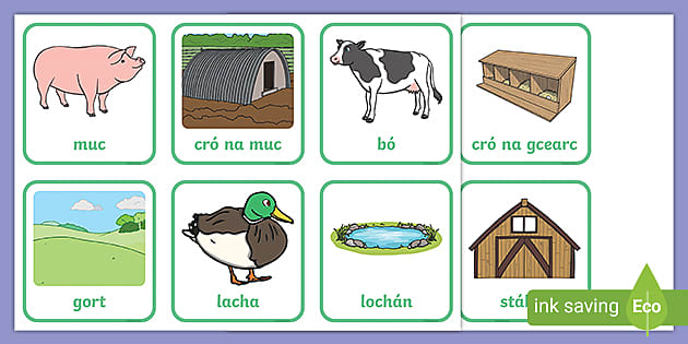 On the Farm Animals and Where They Live Matching Cards Gaeilge
