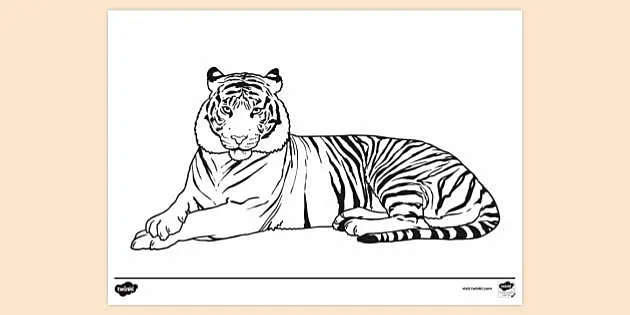 Tiger javan Panthera Tigris