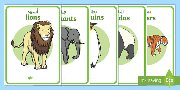 Zoo Animal Enclosure Role Play Signs Arabic/English - Twinkl