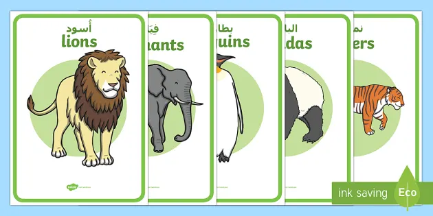 Zoo Animal Enclosure Role Play Signs Arabic/English - Twinkl Zoo Animal Enclosure Role Play Signs Arabic/English - Twinkl