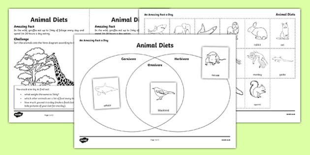 Eating Habits of Animals for Class Worksheets (teacher made)