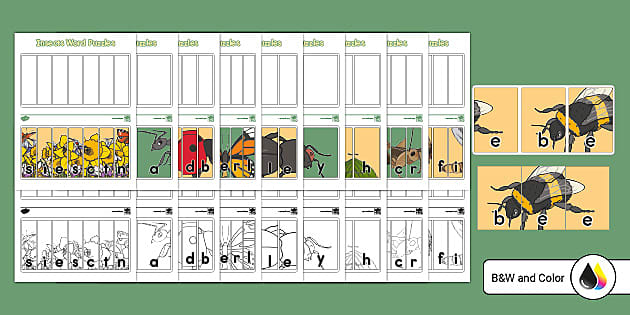 10 Free Insects Literacy Activities - Twinkl