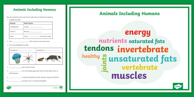 Y3 Animals Including Humans Vocabulary Cloud and Questions