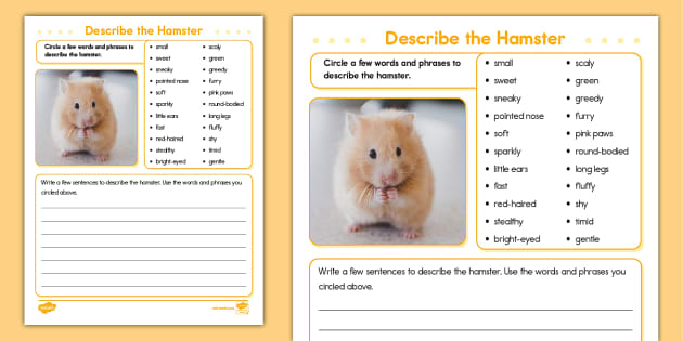 Hamster - Animal Facts for Kids - Characteristics & Pictures