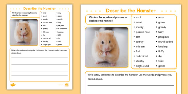 Hamsters facts: we answer your questions