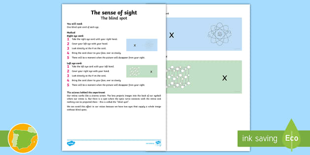 The Blind Spot Science Experiment - Twinkl