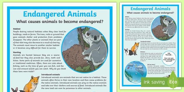 Endangered Animals Causes Display Poster - AC9S4U01 - Twinkl