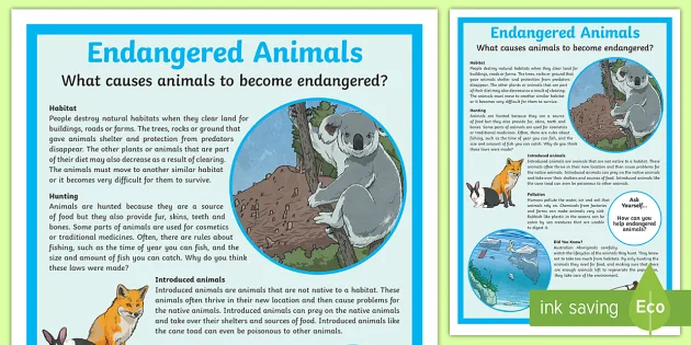 Endangered Species and Animals | PowerPoint | Project Work