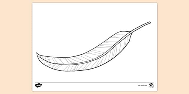 Gum Leaf Template | Primary Resources | Twinkl - Twinkl