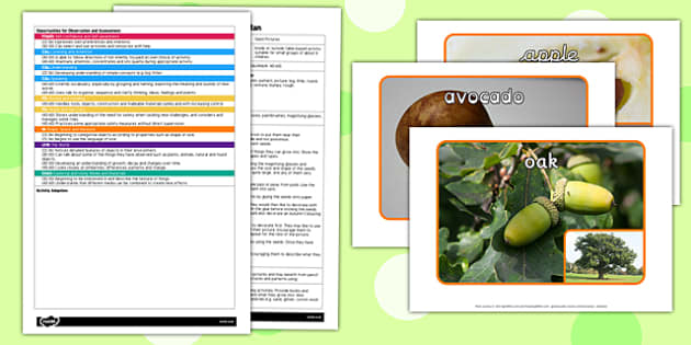 Seed Pictures EYFS Adult Input Plan and Resource Pack